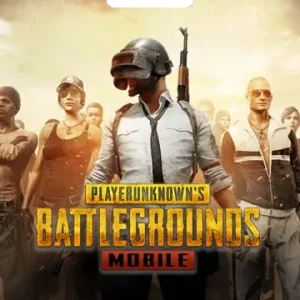 PUBG GLOBAL CODE